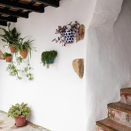 Casa Lunarito * Vejer de la Frontera